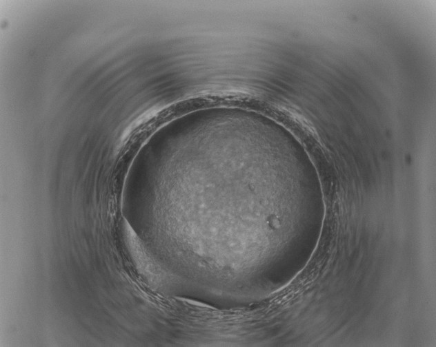 X0000064770920200602171820