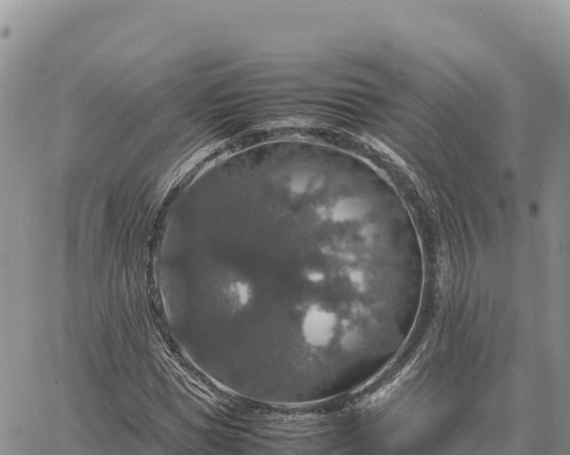 X0000064770921200602171820