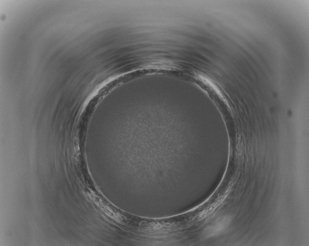 X0000064770923200602171820