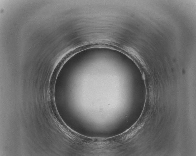 X0000064770924200602171820