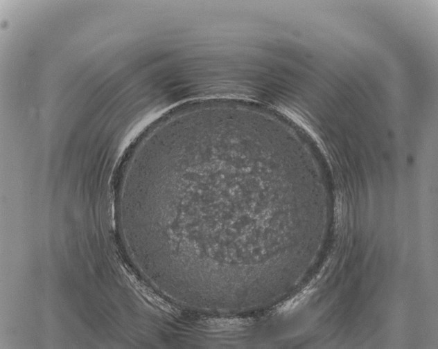 X0000064770925200602171821