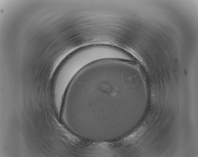 X0000064770926200602171821