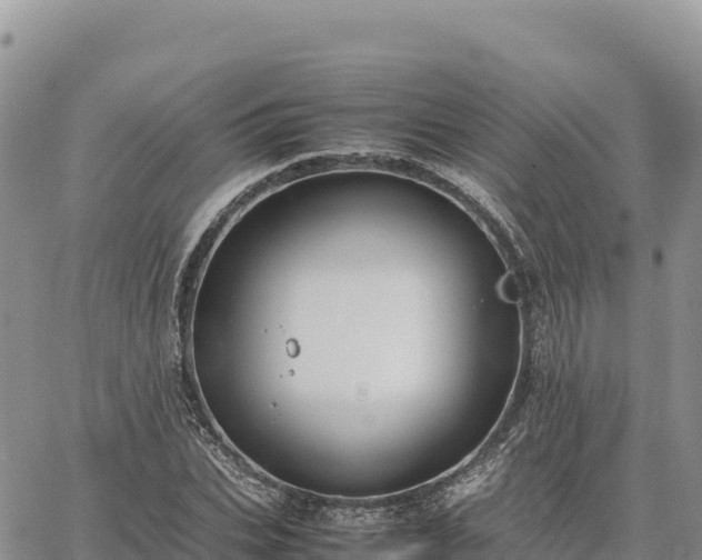 X0000064770927200602171821