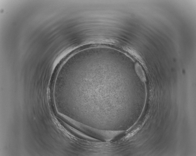 X0000064770928200602171821