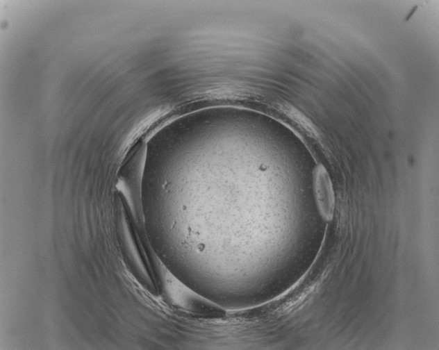 X0000064770930200602171821