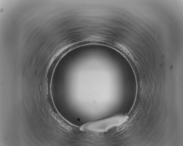 X0000064770931200602171821