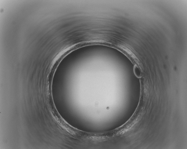 X0000064770933200602171821