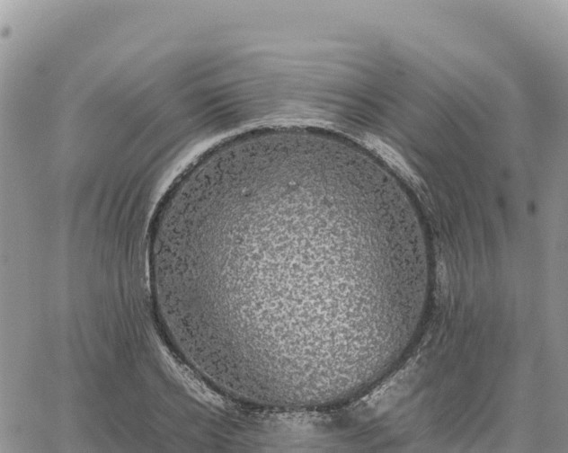 X0000064770934200602171821