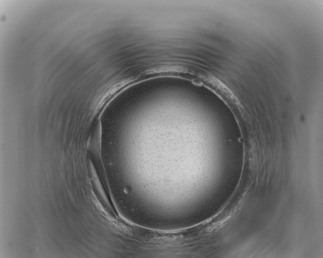 X0000064770937200602171821