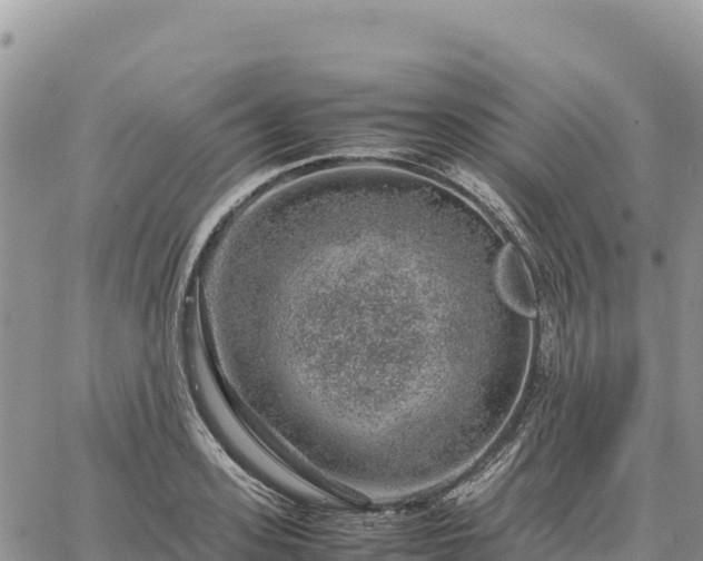 X0000064770939200602171821