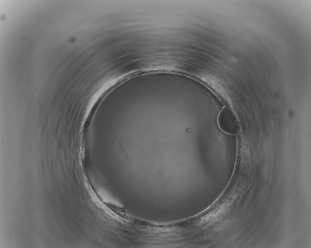 X0000064770941200602171821