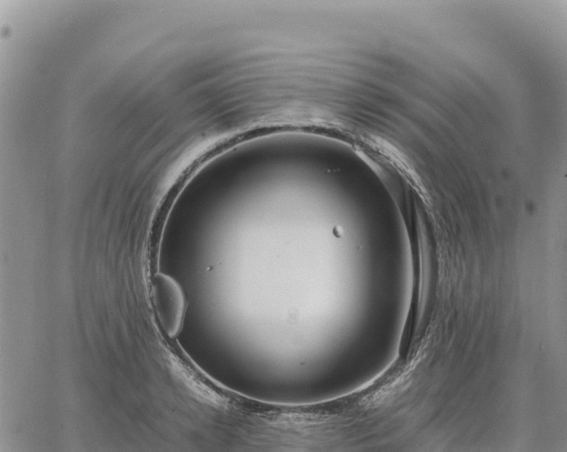 X0000064770942200602171821