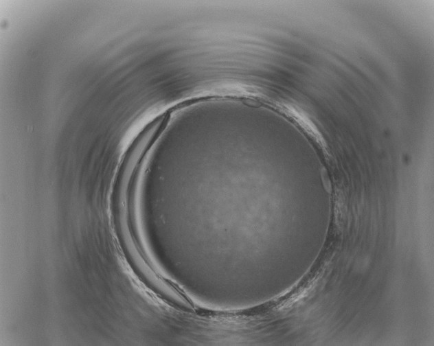 X0000064770944200602171821