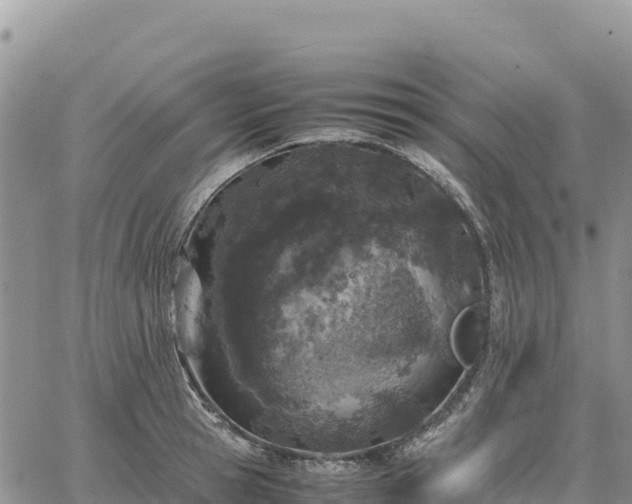 X0000064770945200602171821