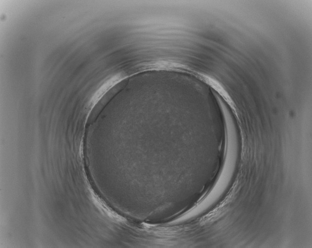 X0000064770946200602171821