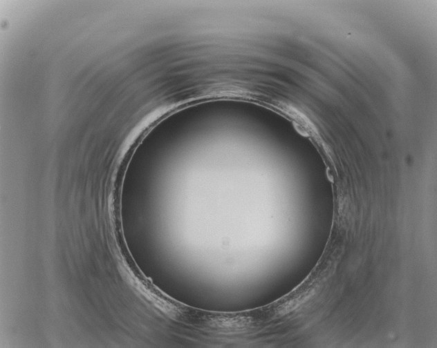 X0000064770947200602171821