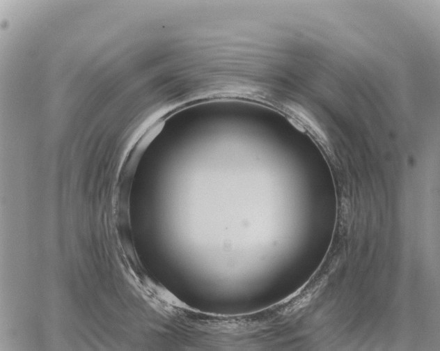 X0000064770948200602171821