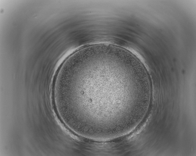 X0000064770949200602171821