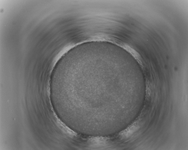 X0000064770950200602171821