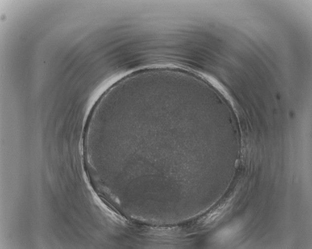 X0000064770951200602171821