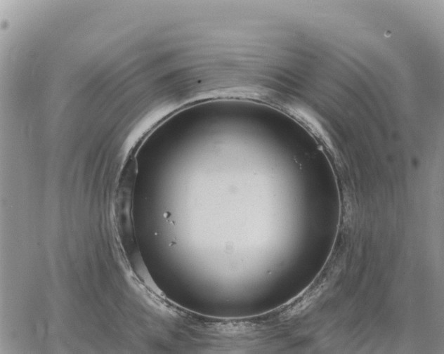 X0000064770952200602171821