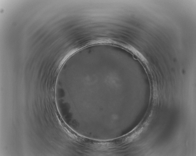 X0000064770953200602171821