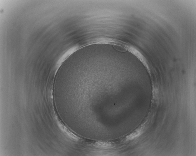 X0000064770954200602171821