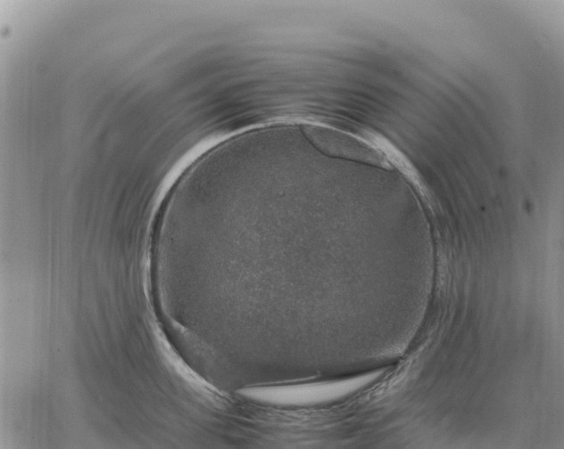 X0000064770955200602171821