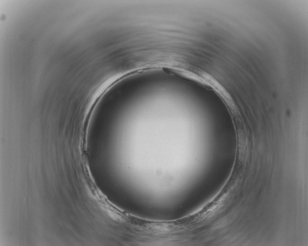 X0000064770956200602171821