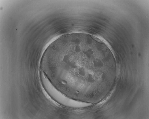 X0000064770957200602171821