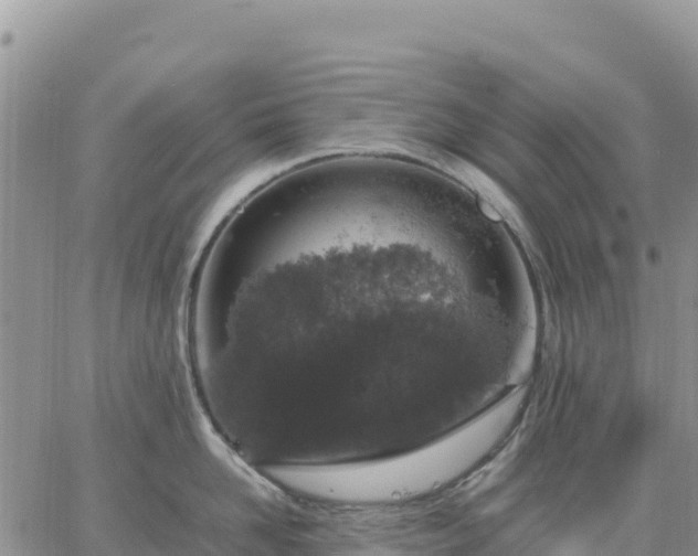 X0000064770958200602171821