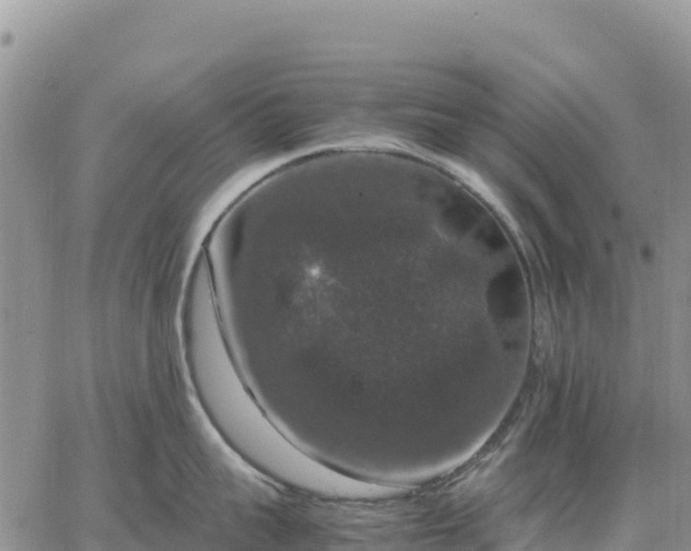 X0000064770959200602171821