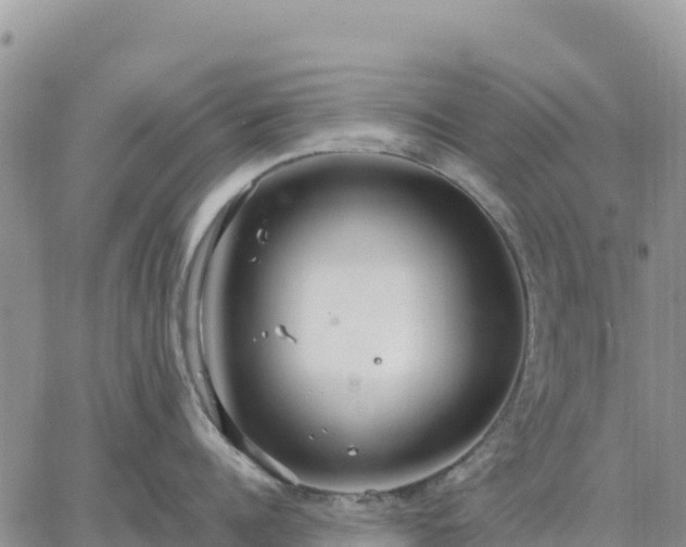 X0000064770960200602171821