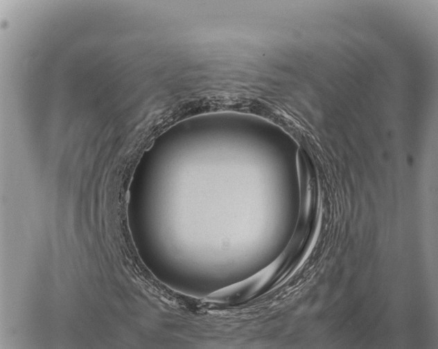 X0000064770961200602171820