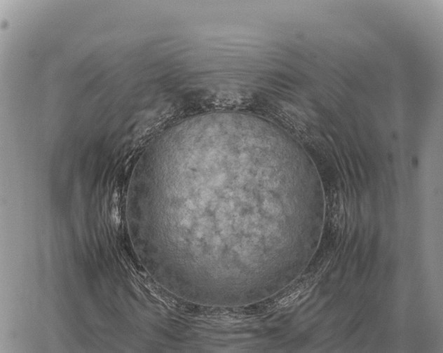 X0000064770962200602171820