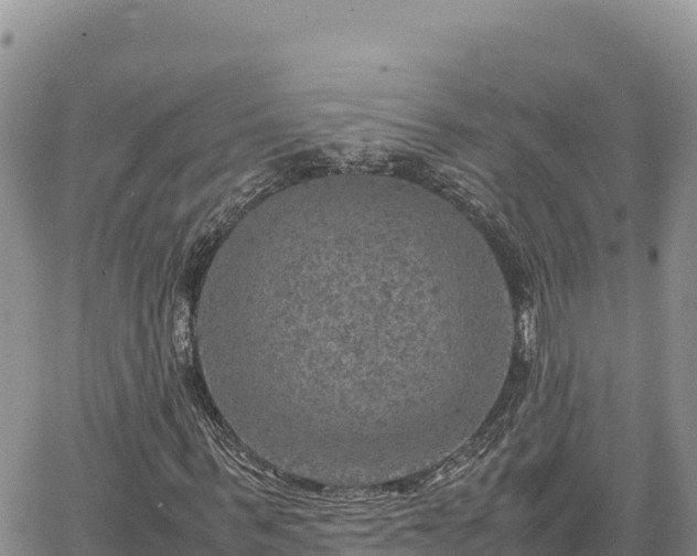 X0000064770963200602171820