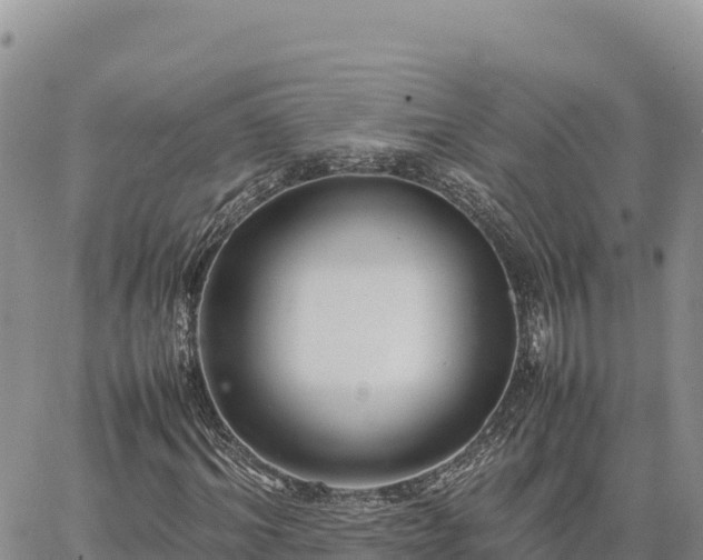 X0000064770964200602171820