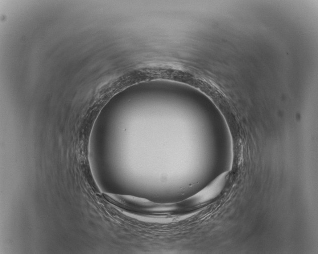 X0000064770965200602171820