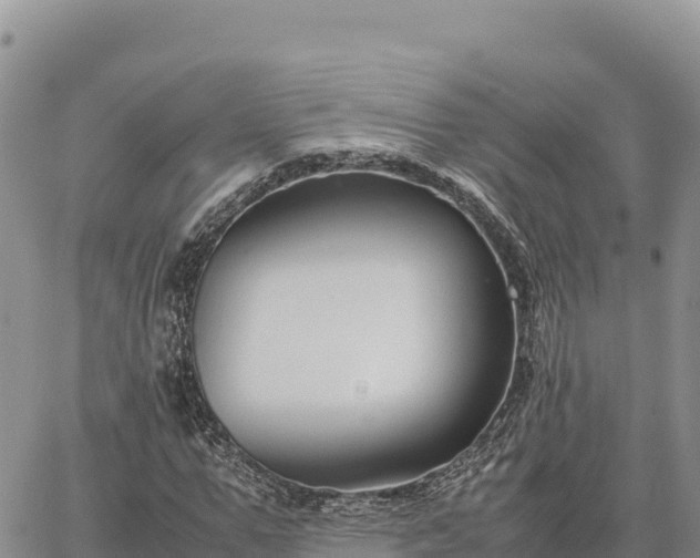 X0000064770967200602171820