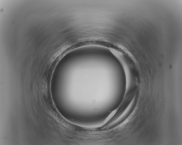 X0000064770969200602171820