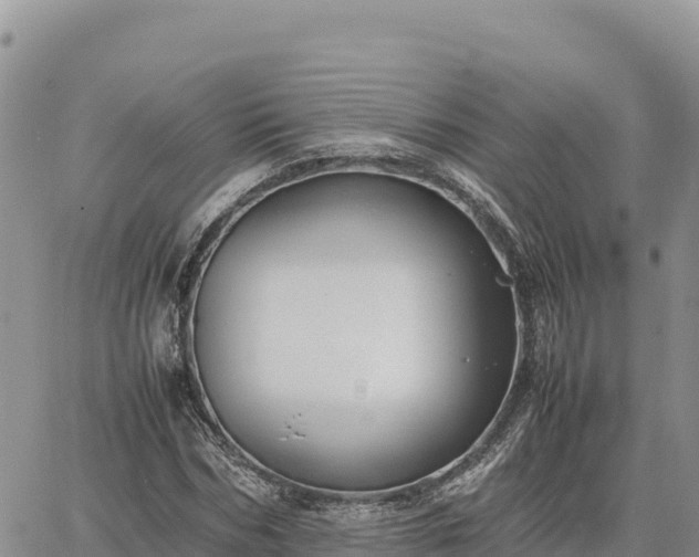 X0000064770970200602171820