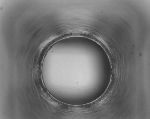 X0000064770971200602171820