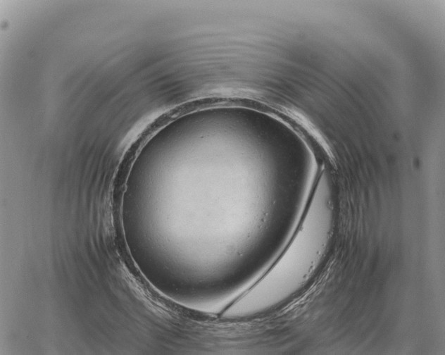 X0000064770972200602171820