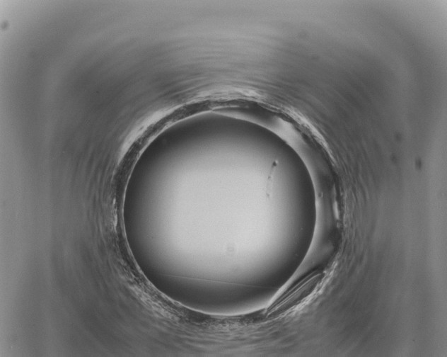 X0000064770973200602171820