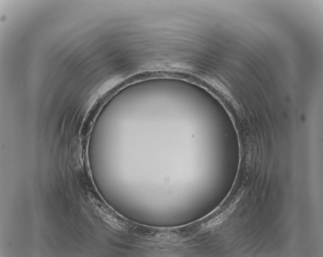 X0000064770974200602171820