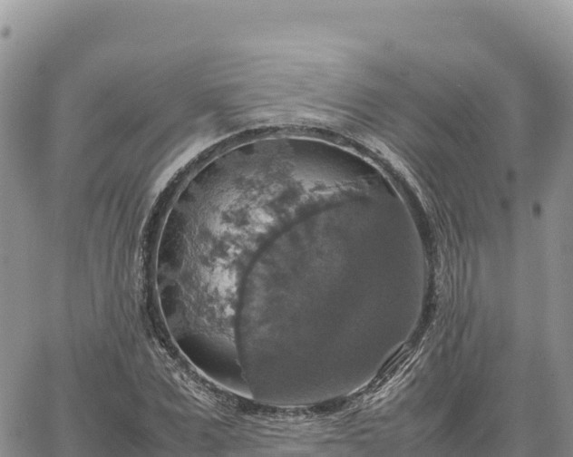 X0000064770975200602171820