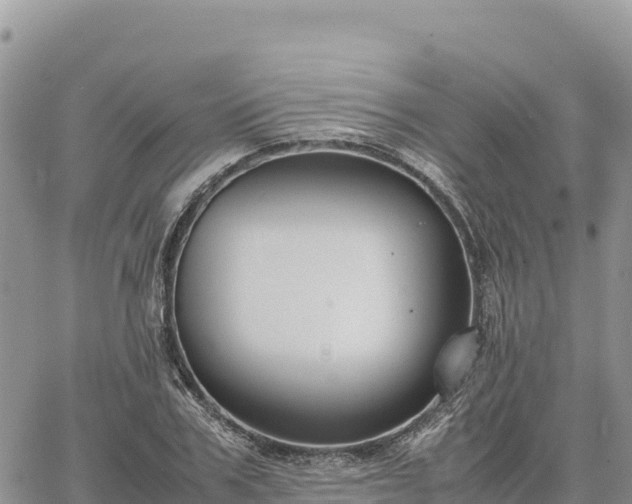 X0000064770979200602171820