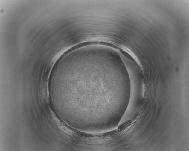 X0000064770980200602171820