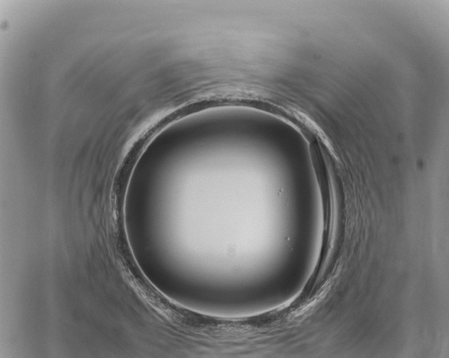 X0000064770981200602171820