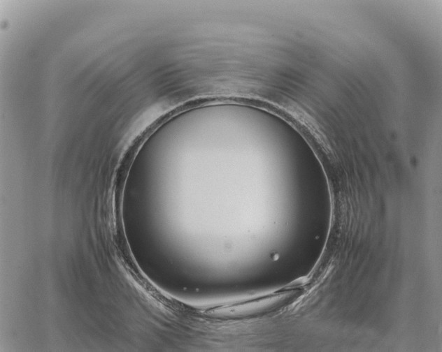 X0000064770982200602171820